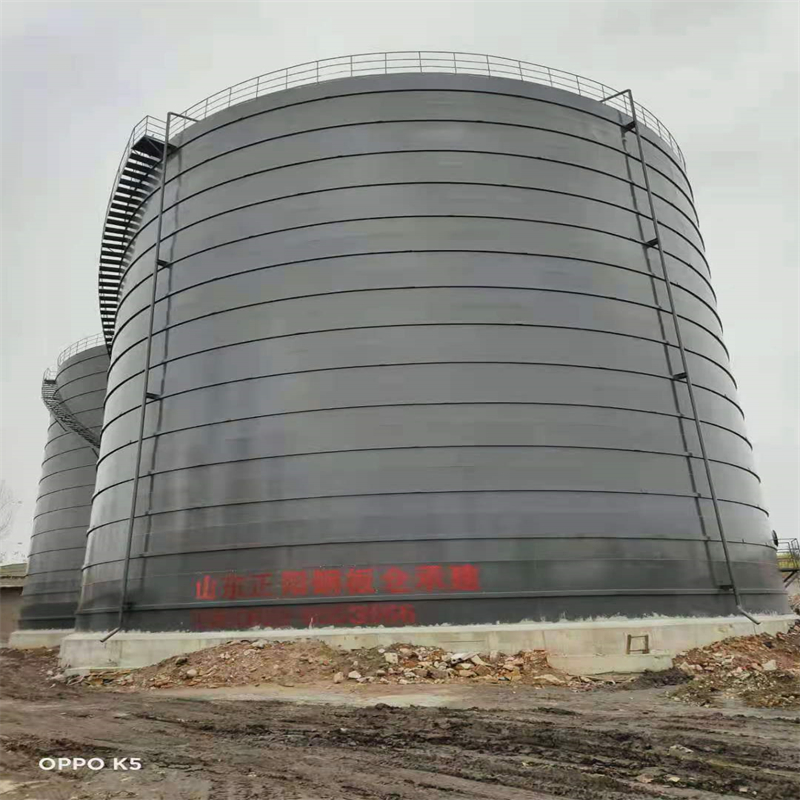 望城3万吨大型钢板库