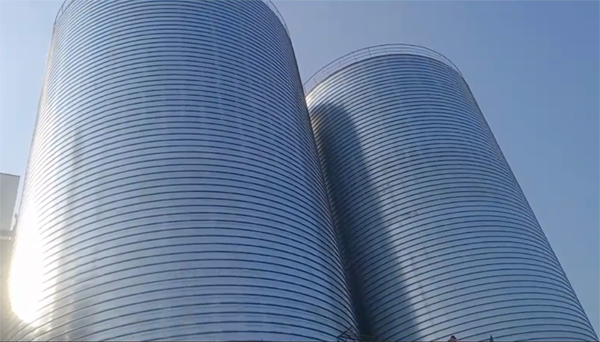 望城2座混凝土高架卷板仓